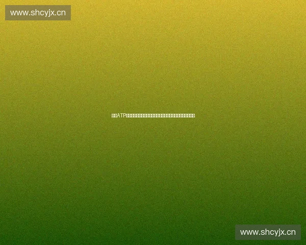 聚焦ATP年终总决赛巅峰对决与网坛荣耀传承之路全景纪实与未来展望