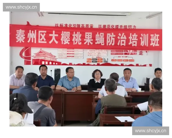 全面提升身体素质与运动表现的科学训练方法探索